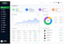 develop a custom web application, API or software solution